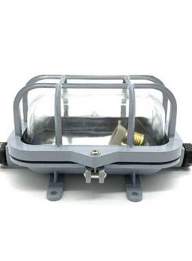 船用照明 CCD2-1-2 白炽舱顶灯  优质游艇舱顶灯60w 220v船舶配件