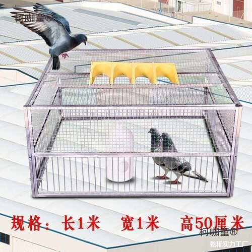 笼门门用具鸽子鸽子捕跳鸽神器自动自动抓撞全自动鸽子笼麦太保
