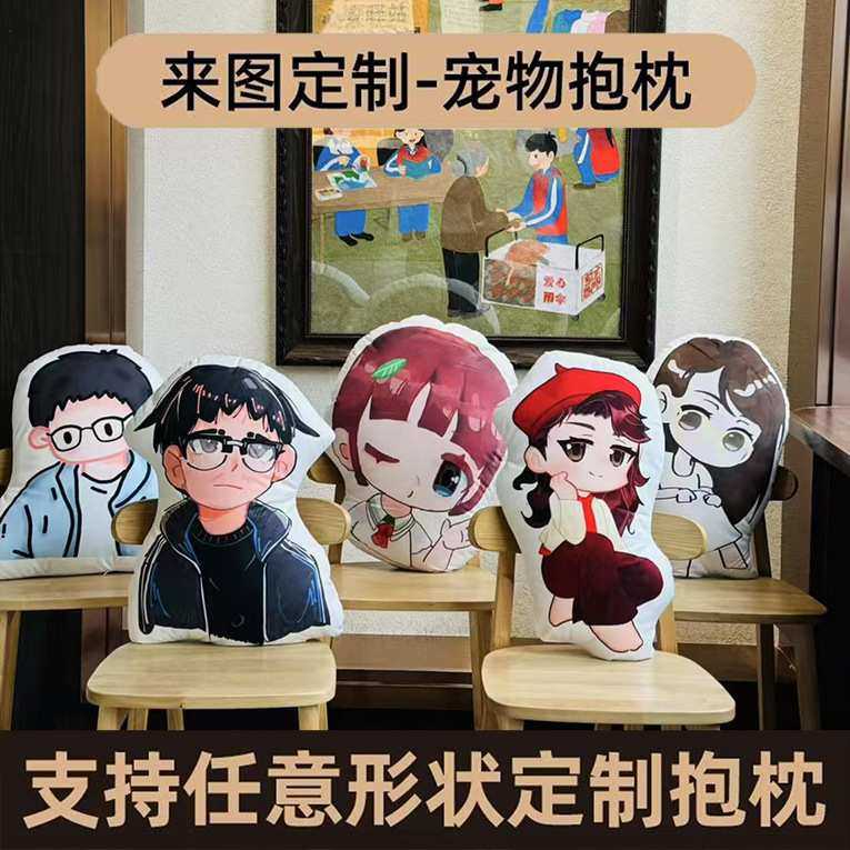 丑猫抱枕来图人物无白边印照片定ZH异形宠物枕头毕设靠枕来图设计