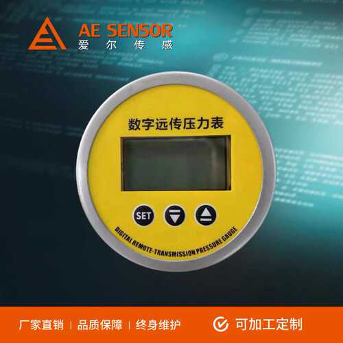 厂家供应AE-P1智能数显远传压力表 4-20mA/RS485信号输出60mm表盘