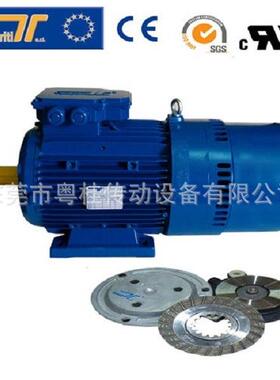 意大利Temporiti刹车电机REBM71B4/0.37KW制刷机用刹车电机马达