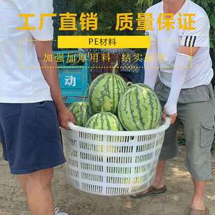 加厚西瓜筐水果海鲜蔬果蔬菜筐周转筐圆形箩塑料筐其他中国大陆