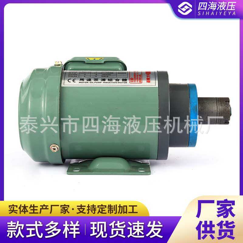 高压小排量电机组 油泵电机组 锯床齿轮泵电机组 非标小排量来图,3C数码配件,USB灯,淘宝优惠券,粉丝福利购,淘宝优惠卷