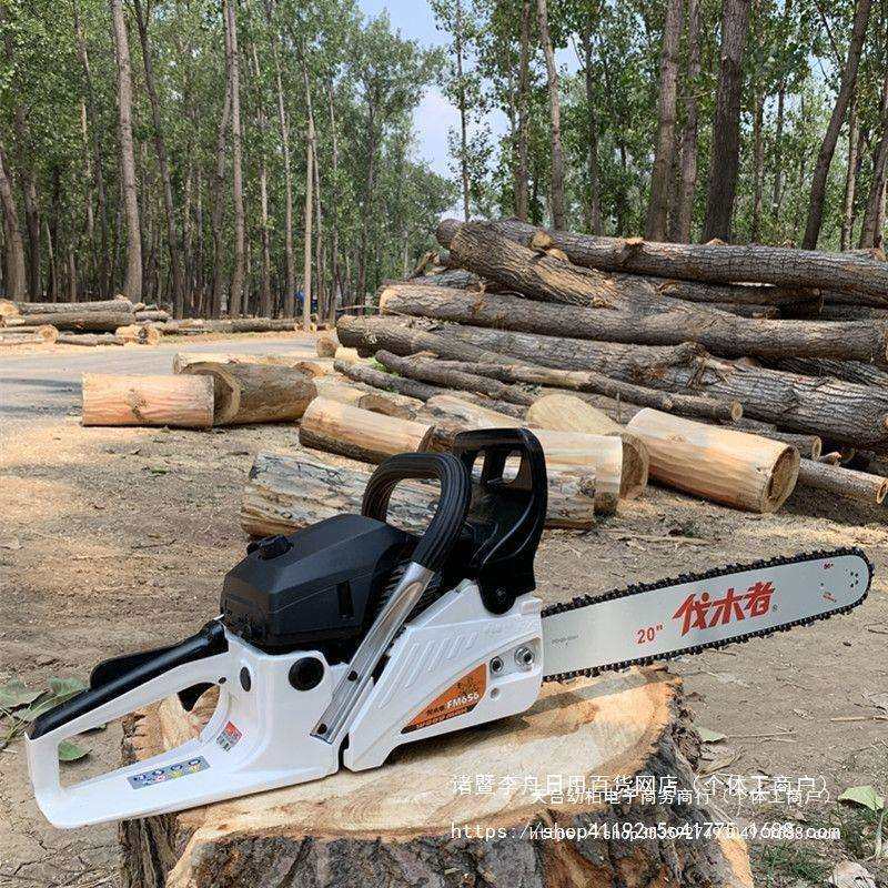 伐木者进口油锯汽油锯家用多功能电锯子锯树砍柴砍树伐木锯木,模玩/动漫/周边/娃圈三坑/桌游,模型制作工具/辅料耗材,淘宝优惠券,粉丝福利购,淘宝优惠卷