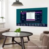 现货臺南灣繁體中文DBFHD265 S高清數位機上盒东亚中文DVV2BS2电