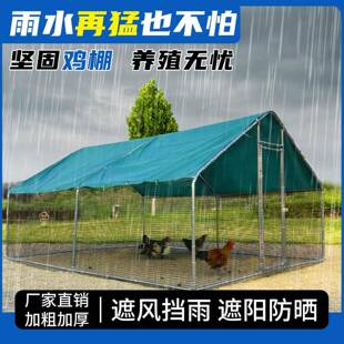笼户外家用家禽鸡棚外搭SAF建大养殖特大号室鸽笼防雨型鸡简易鸡