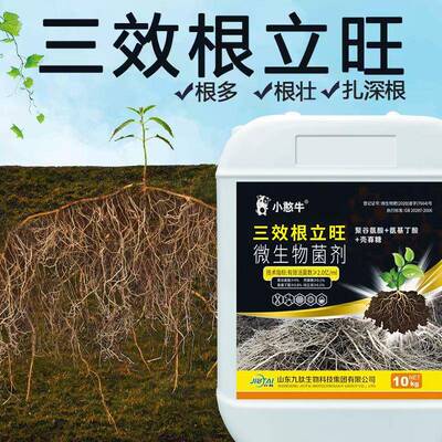 九剂肽生LCW根强力生液生物苗发根酵蔬菜草莓用调土养根壮三效根