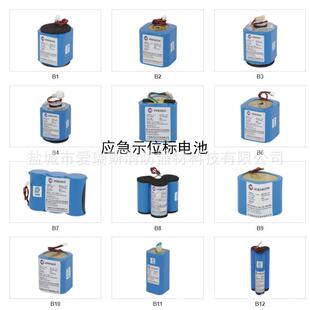 驰洋船舶雷达应答器电池船用应急示位标电池双向手持电话电池