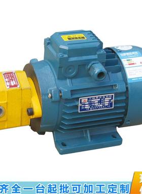 苏中液压BB-B4-DBB-B6-DBB-B10JZ直联插入式内轴式油泵电机组