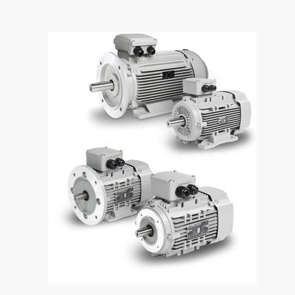 奥地利MOLL-MOTOR电机用于传送带和螺旋输送机、泵、破碎机等。