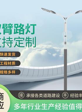 LED市电路灯6米8米市政道路双臂路灯城市公路道路照明灯