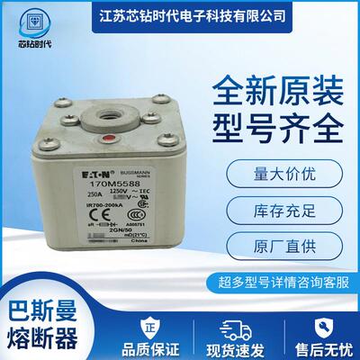 170M5597 170M5598 巴斯曼BUSSMANN熔断器保险丝