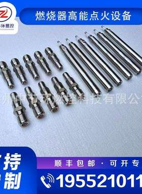 工业加热炉高压点火杆CGDZ18-3200A锅炉高能点火装置打火棒