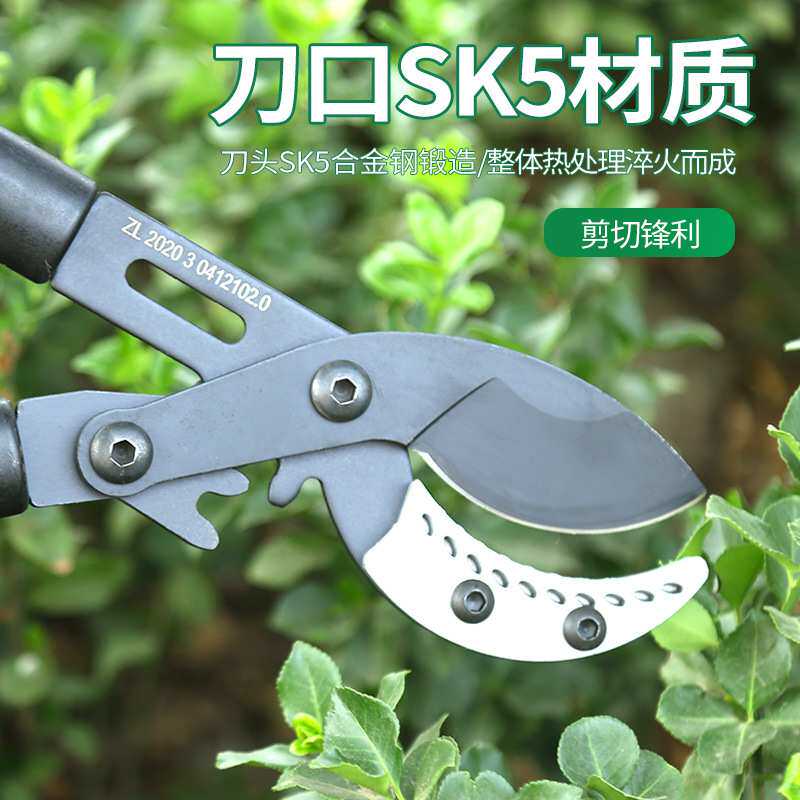 赢大新型伸缩粗枝剪大力剪园林园艺伸缩果树剪摘果剪园林工具