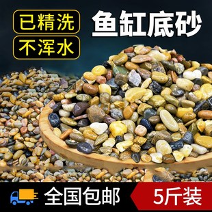 免洗鱼缸底部砂石造景溪流沙底砂溪流缸乌龟缸专用石头细沙子铺底