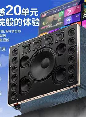 机新科家庭ktv音响套装移动歌拉48888ok户外广场舞家用卡点k歌一