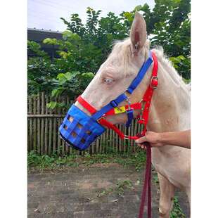 马嘴罩马面罩嘴套防咬防偷吃马笼头套防咬人马具装备马术用品