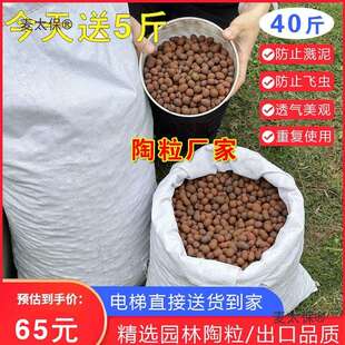精选中陶粒！地栽树池花池花盆花槽花箱铺面陶瓷颗粒防虫透麦太保