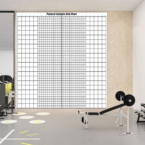 英文版体态评估表墙纸健身房体姿背景墙装饰画体测评估图格子壁纸