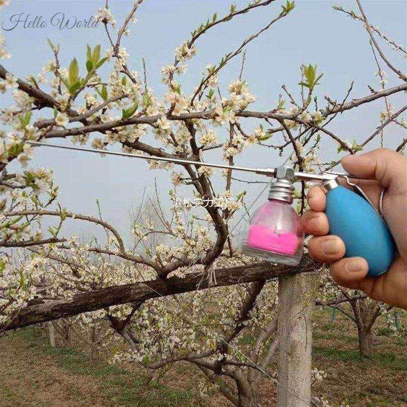 果树授粉器罗汉果手动人工喷花器火龙猕猴桃点花神器送辅料20克