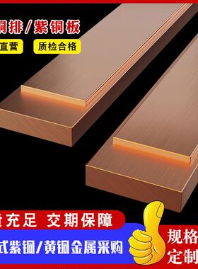 T23紫排TKWP镀锡紫铜卷圆角折弯高导电接地紫1铜铜排铜条铜箔T红