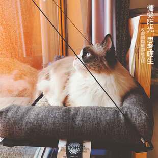 猫吊床KH玻璃夏季窗户秋千猫垫子吸盘宠物用品日式猫咪悬挂窝床