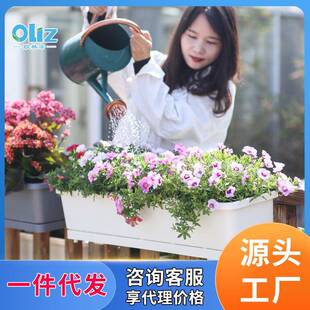 欧林泽阳台D203S种栏花盆种花菜盆悬挂铁艺挂架盆菜窗台杆花架