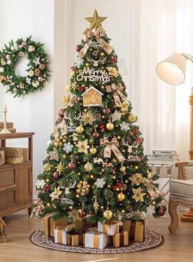 圣诞树家用02i5圣新2款大型DI47Y装饰品材料包诞节装饰网红款ns风