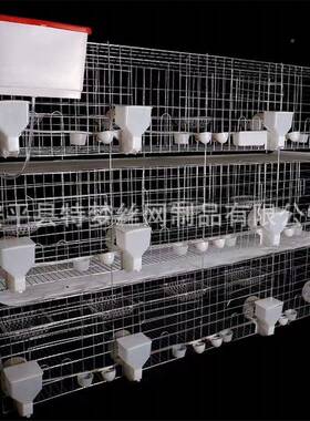 鸽笼鸽子笼子养笼笼子鸽笼16鸽笼全套殖HUM鸽子位笼具