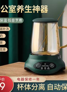 特莱雅养生杯办公室小型煮茶器家用多功能迷你玻璃煮花茶壶一人用