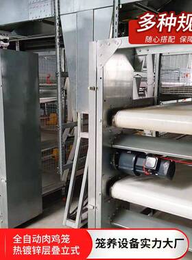 鸡笼笼鸡自动化宝元LEV型肉框架式养鸡设备旧鸡舍改建肉畜鸡牧