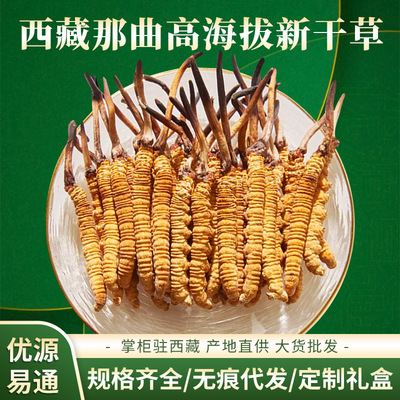 【野生虫草】西藏那曲冬虫夏草礼盒送长辈传统滋补品虫草干货