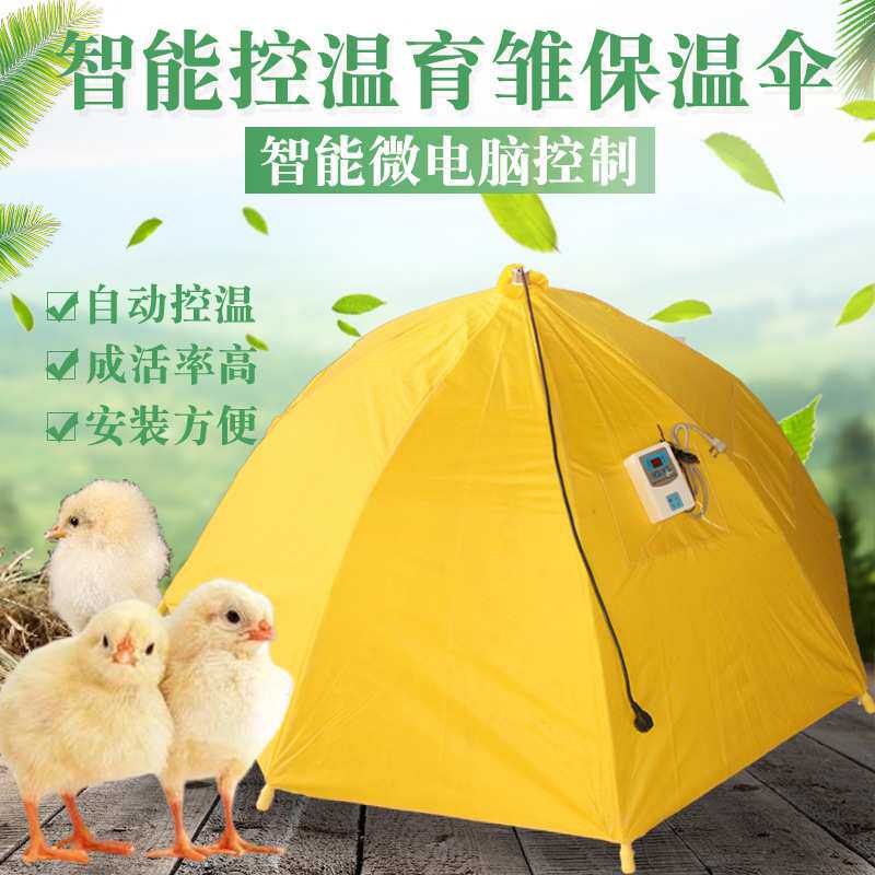 厂家直供育雏伞育雏保温器养殖取暖器 自动保温伞控温伞养鸡设备