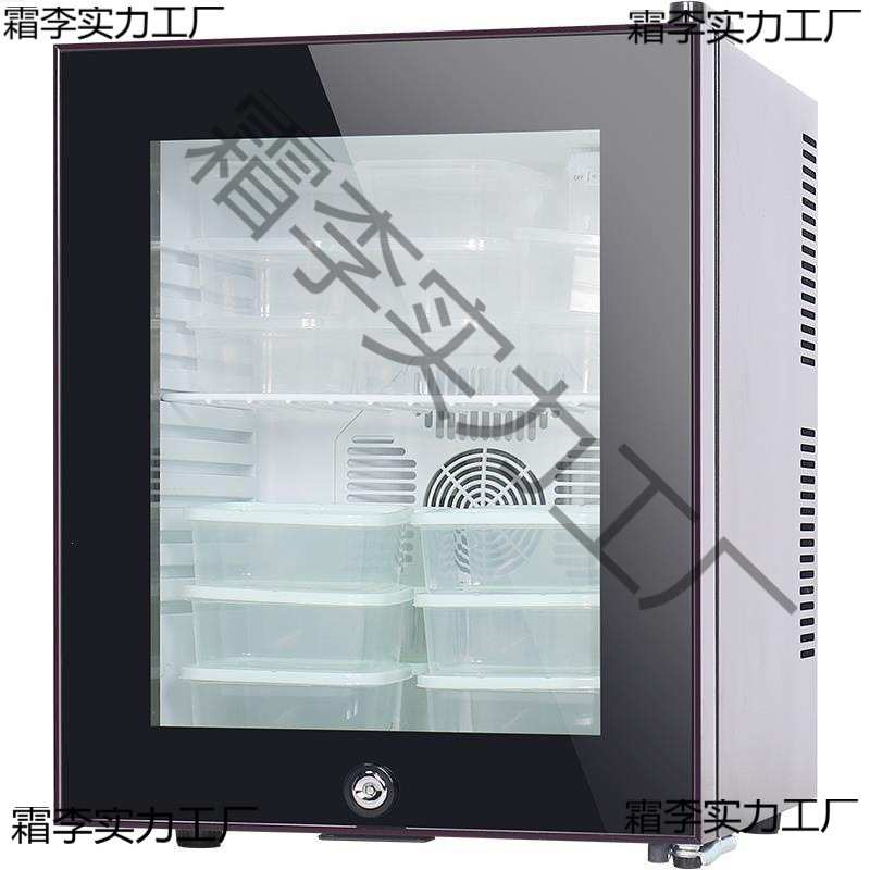 食品检查冰箱20升冷藏冷冻迷你小冰箱小型餐桌食品留样柜展示柜