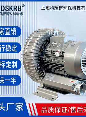 2LG910高压风机大功率漩涡鼓风机污水曝气泵离心电机真空吸附