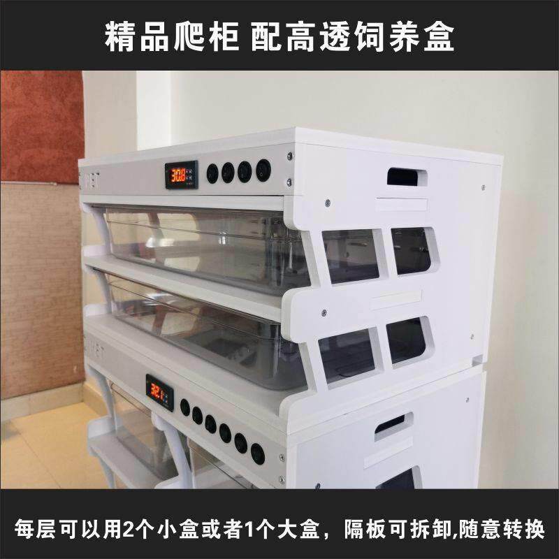 异宠加热过冬保温守宫蝎子蛇角蛙蜘蛛爬虫爬宠蛇柜饲养柜爬柜盒