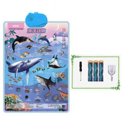 Voice Voice Electronic Learning Reading Audio Wall Chart