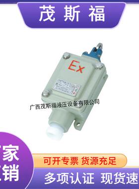 防爆限位开关80771-11防爆开关IIC级防爆行程开关8077型开关