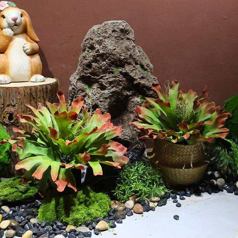 仿真假多肉植物鹿角蕨热带沙漠石莲芦荟商场餐饮店橱窗装饰摆件