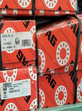 FAGN222E.M1.C3德国进口轴承N202203204205206207221NU