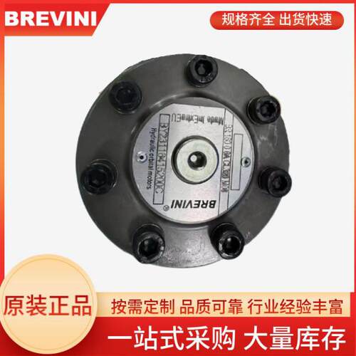 意大利BREVINI摆线马达BG050S2ACL250M08N油泵BGE1602AR08CL254