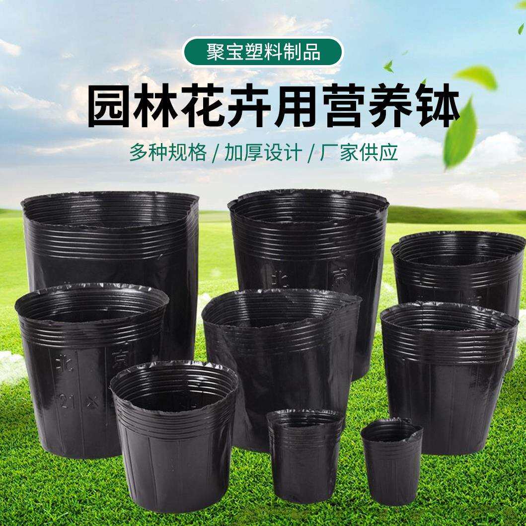 厂家园林花卉用营养钵营养袋简易多肉营养杯育苗盆营养钵塑料