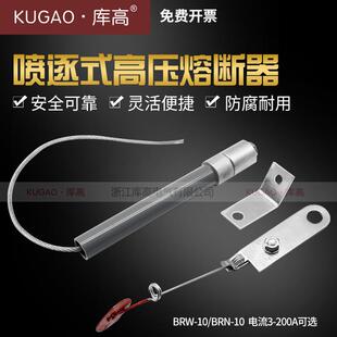 库高BRW-10喷逐式熔断器BRN-10高压10kV内装保险丝并联电容器保护