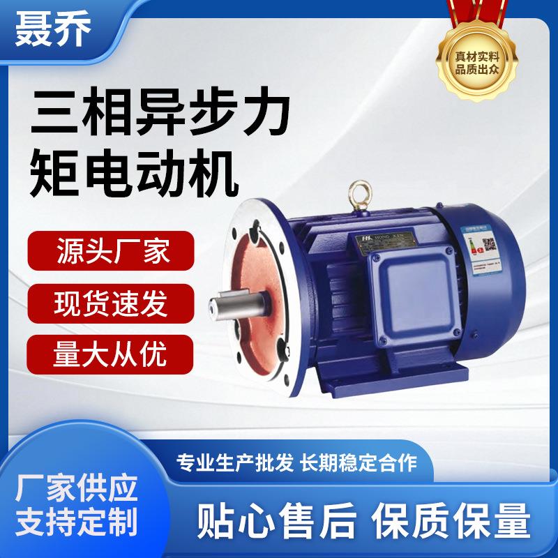 380V三相异步力矩电动机B35立卧式电机 0.75/1.5/2.2/4/5.5/7.5KW