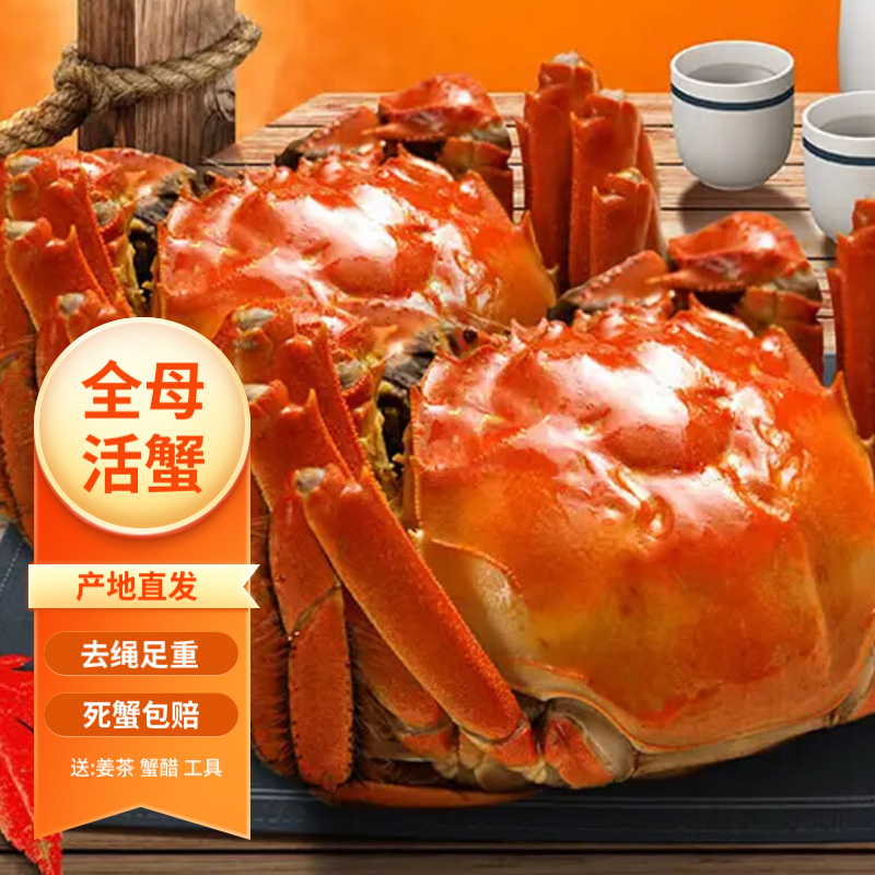 阳澄篇大闸蟹全母螃蟹冷链次日达
