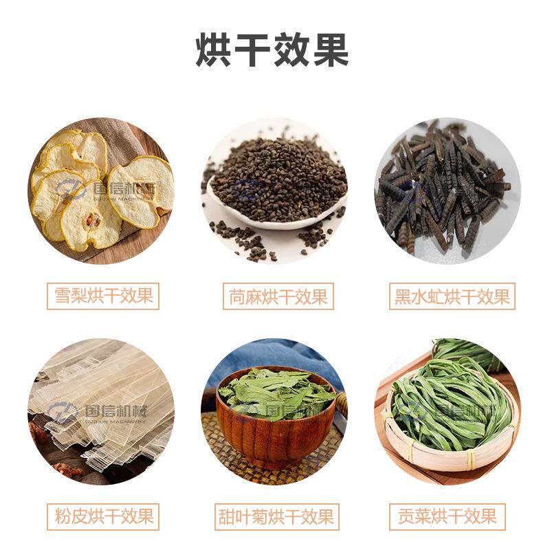 面包虫土元连续式烘干机 蝇蛆虫黄粉虫烘干设备 网带黑水虻烘干机