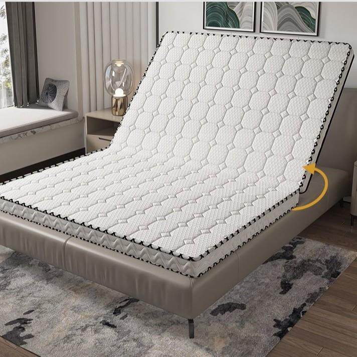 环保无胶水偏硬护腰护脊椎棕垫6D乳胶面料床垫抗菌防螨可折叠,电子元器件市场,其它元器件,淘宝优惠券,粉丝福利购,淘宝优惠卷