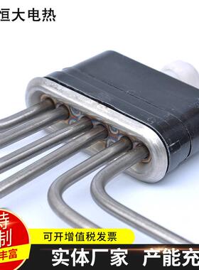 圆头蒸扁8头蒸饭柜发热管蒸饭车蒸饭机箱蒸柜TJZ电热管K加热管30V
