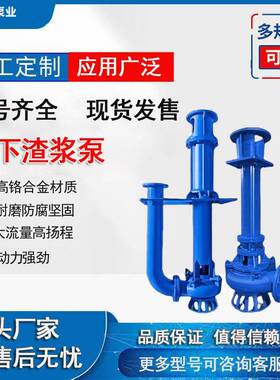 1立式液下渣泵清抽沙抽杂质沙砾灰渣泥沙排污浆泵80YZ40淤-2UMA-4