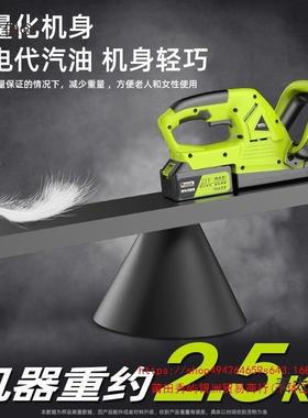 德国电动绿机采茶机TLB绿充化修剪机园林绿化电小太型修草篱麦保